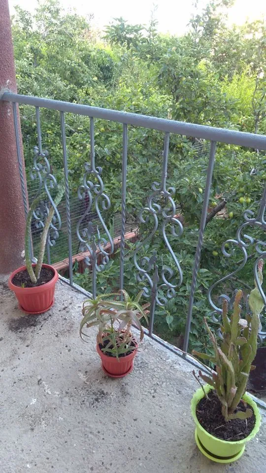 Guest house In Tbilisi — Photo 12