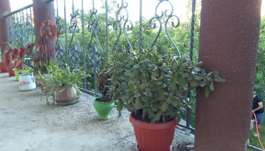 Guest house In Tbilisi — Photo 6