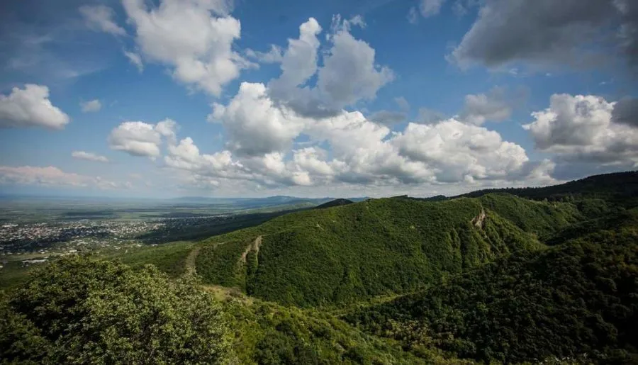 Panorama — Photo 9