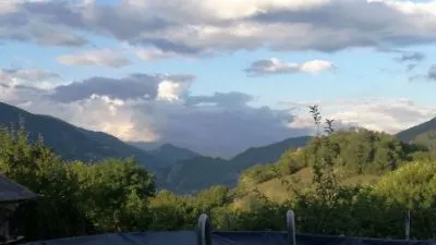 Mercici