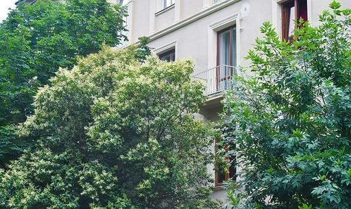 Exclusive Apartment in the Heart of Old Kutaisi — Photo 4
