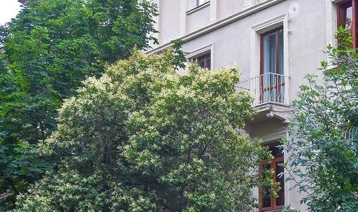 Exclusive Apartment in the Heart of Old Kutaisi — Photo 3