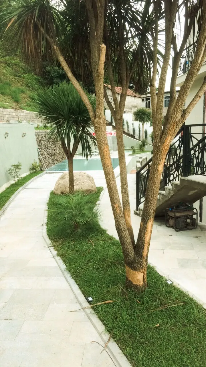 Batumi Hills Complex — Photo 10