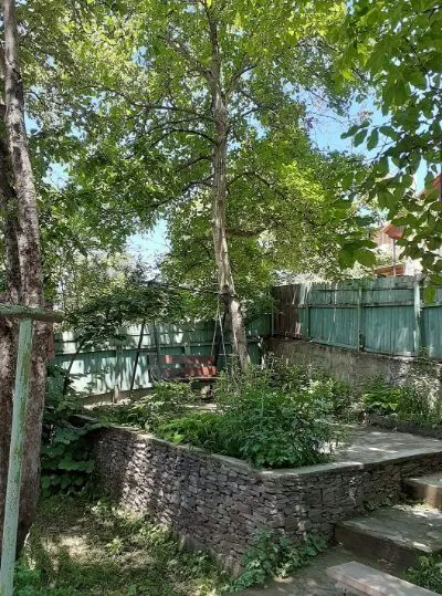 Cottage Toreli
