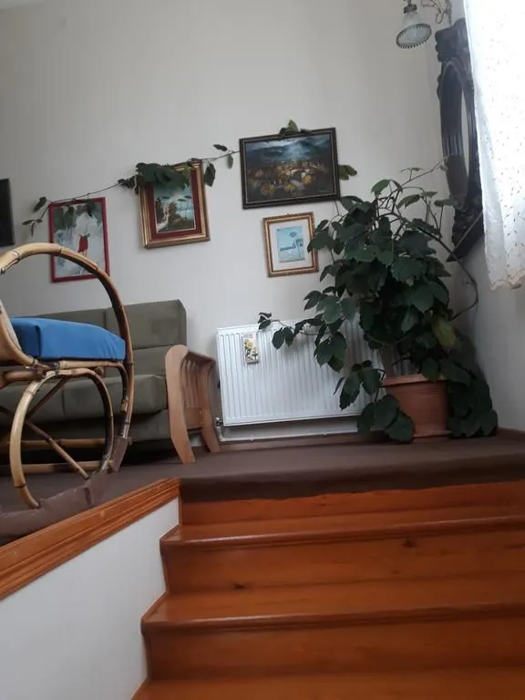 Guest House Tamari — Photo 7