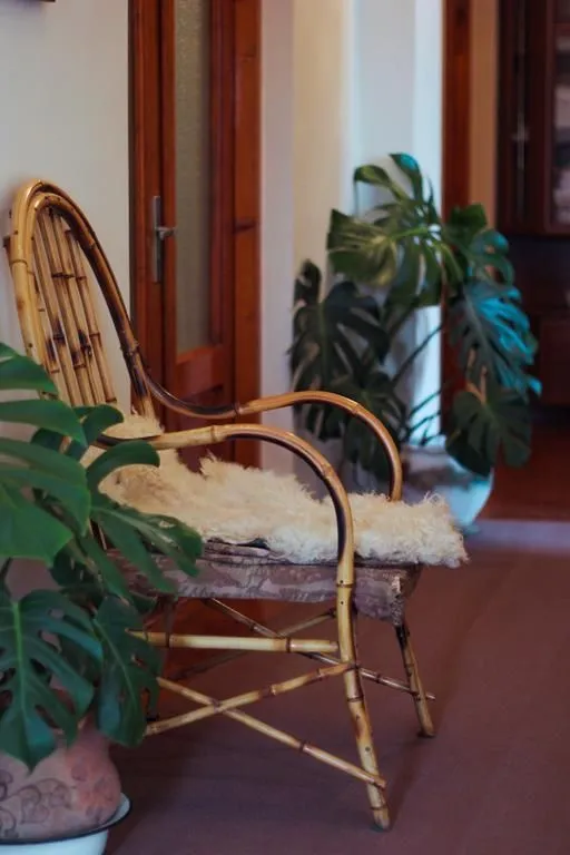 Guest House Tamari — Photo 8