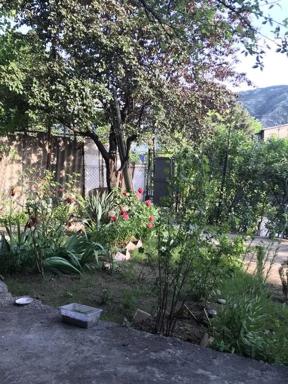 TBILISI HAUSE — Photo 4