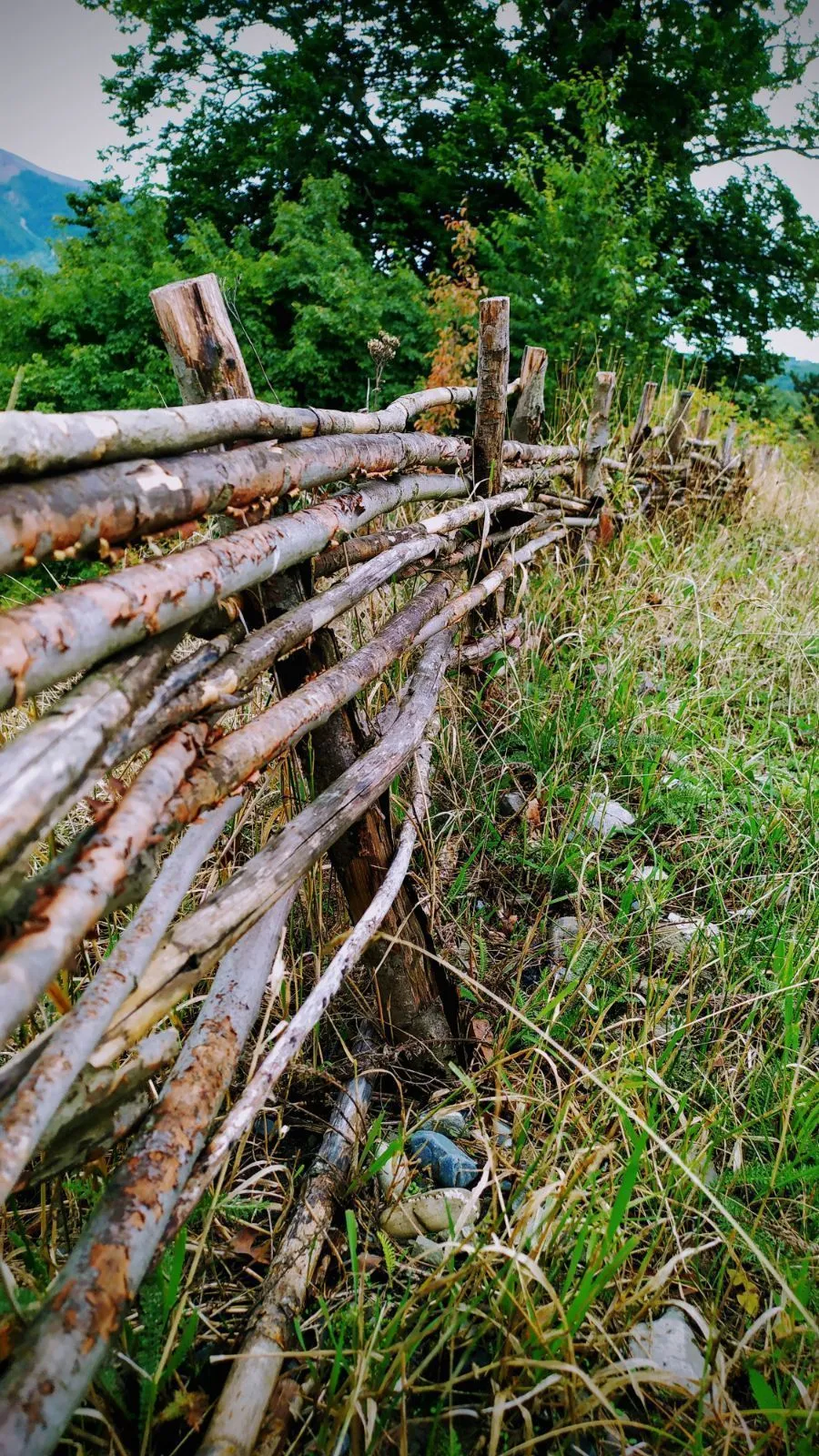 Panorama plus — Photo 10