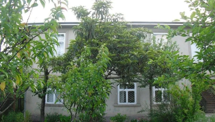 Guest House on Kiacheli — Photo 12