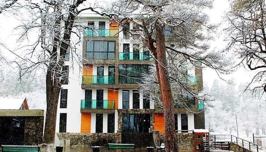 Hillside Bakuriani Apt 105 — Photo 3