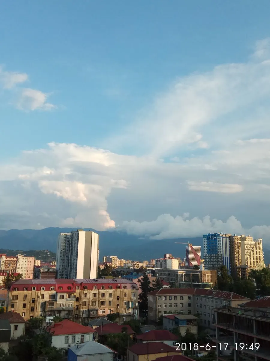 SOFIA — Photo 5