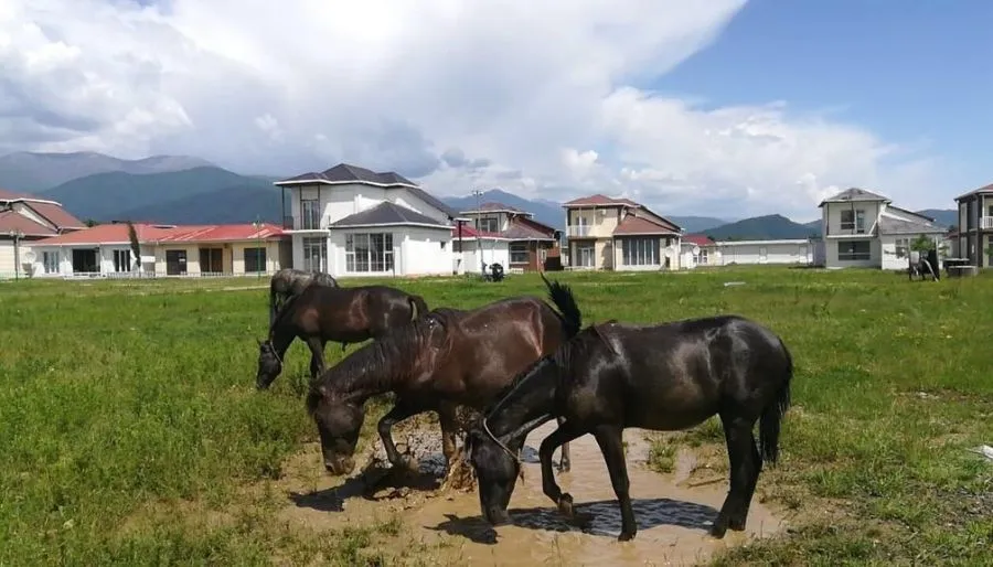 Paradise Investment resort — Photo 8