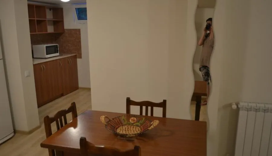 Guest house and apartment Mirian Mepe — Photo 1