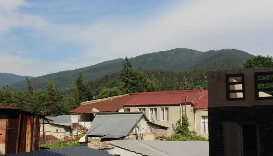 Apartment near the museum in Borjomi — Photo 1