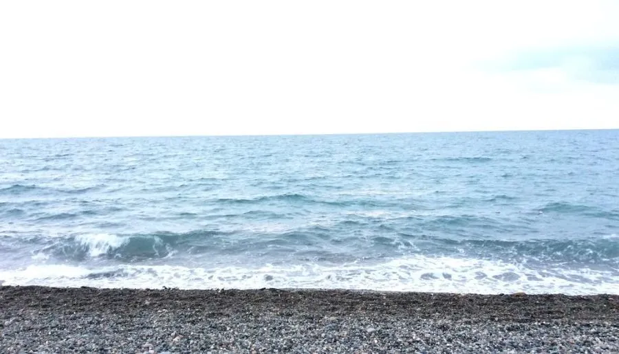 Kobuleti resident — Photo 10