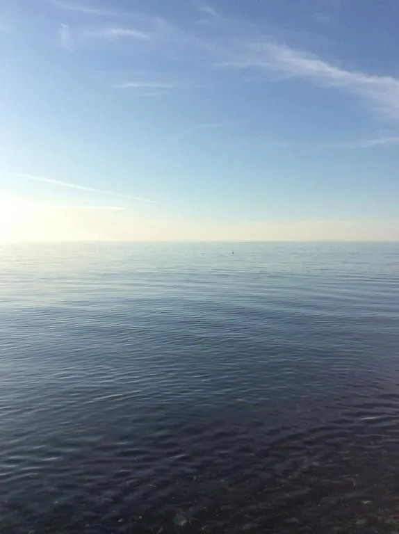 Kobuleti resident — Photo 9