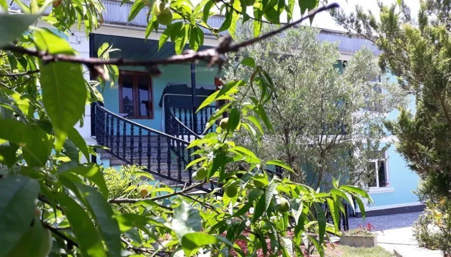 Villa Oasis — Photo 10