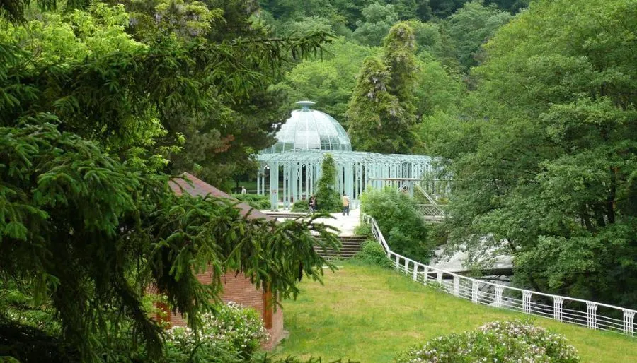 Zviad Guest House — Photo 12