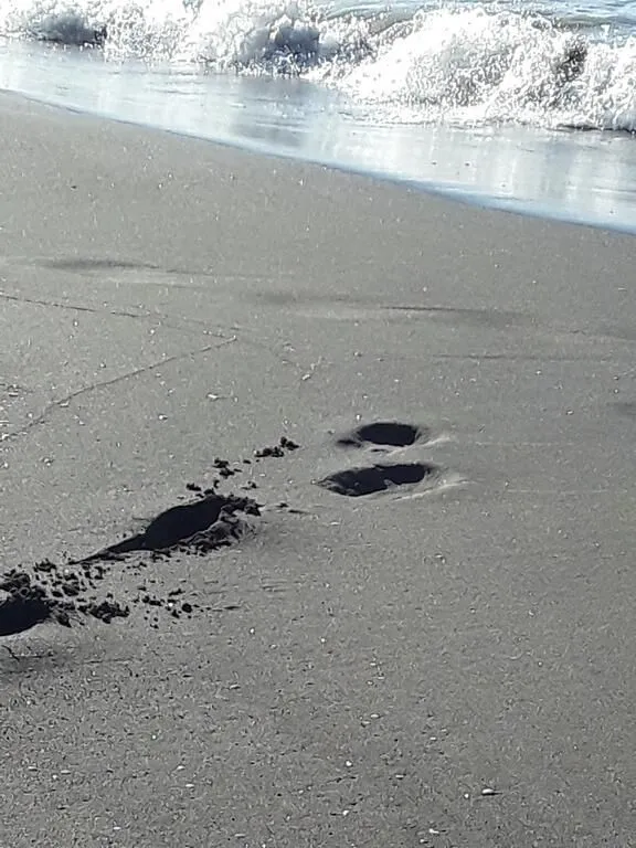 Black sea dream — Photo 8