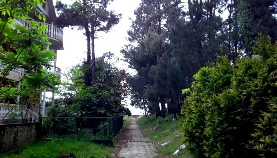 Black sea dream — Photo 7