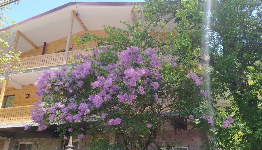 HOUSE IN ABASTUMANI — Photo 5