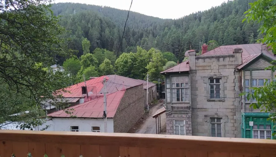 HOUSE IN ABASTUMANI — Photo 1