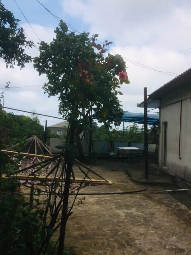 Guest house Ana — Photo 4