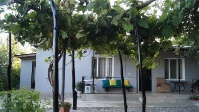 Bee's house