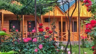 Guesthouse Shoda