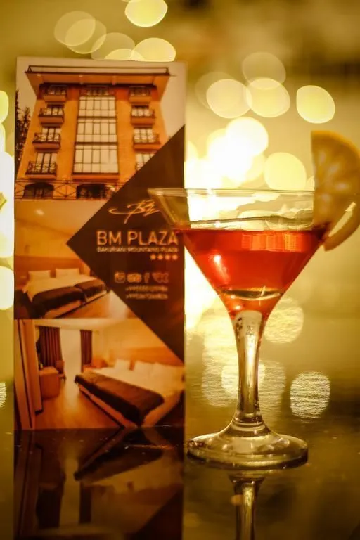 Hotel BM Plaza — Photo 8