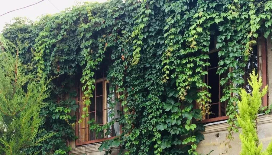Guest house Ekvana — Photo 10