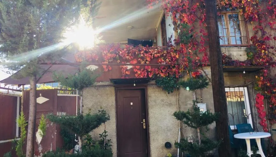 Guest house Ekvana — Photo 11
