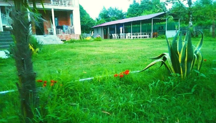 ECO LUX — Photo 3