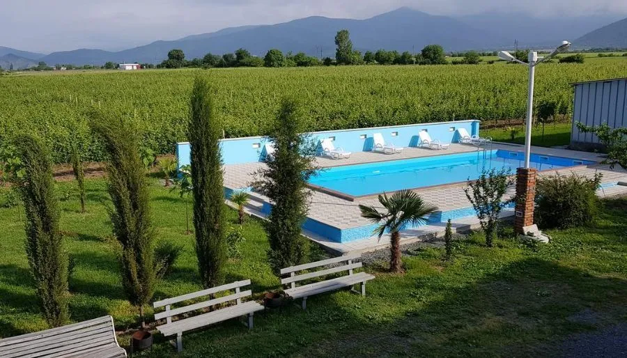 Shaloshvili's Cellar Hotel — Photo 11