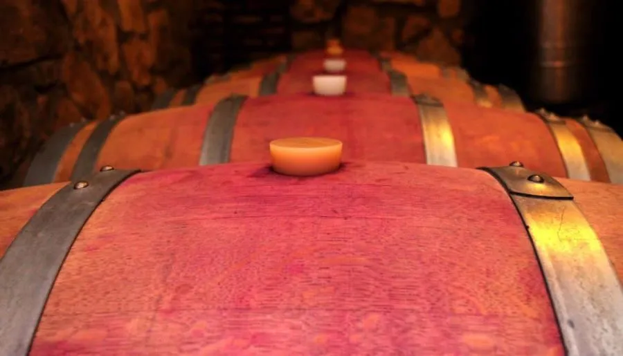 Shaloshvili's Cellar Hotel — Photo 8