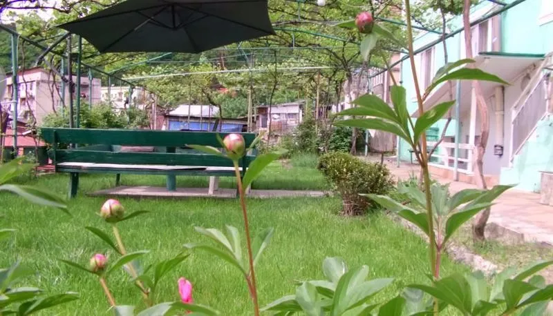 Green Rose — Photo 1