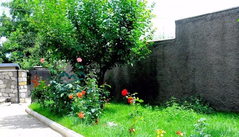 Guglux — Photo 1