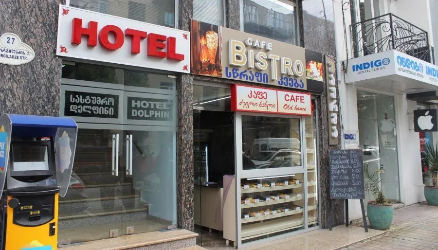 Dolphin — Photo 5