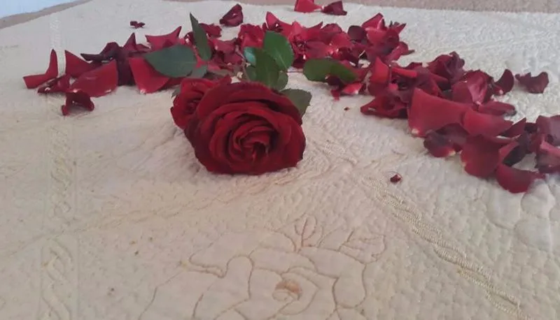 Roses Garden — Photo 3