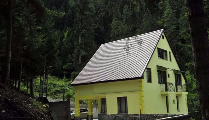 Borjomi Forest — Photo 6