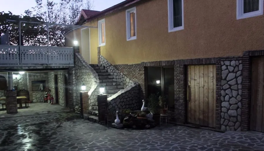 Dzneladze — Photo 3
