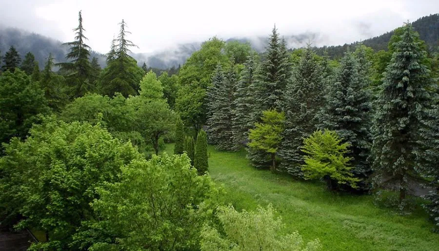Borjomi-Likani house — Photo 1