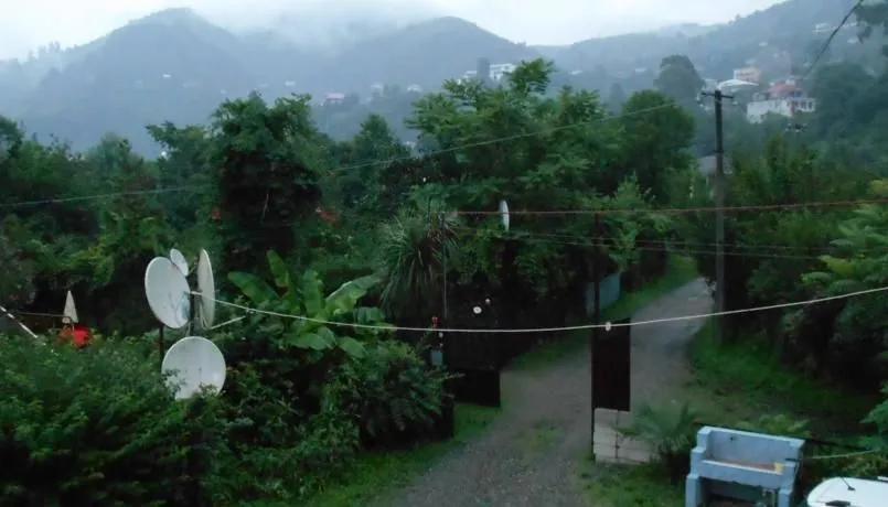 Eteri — Photo 7