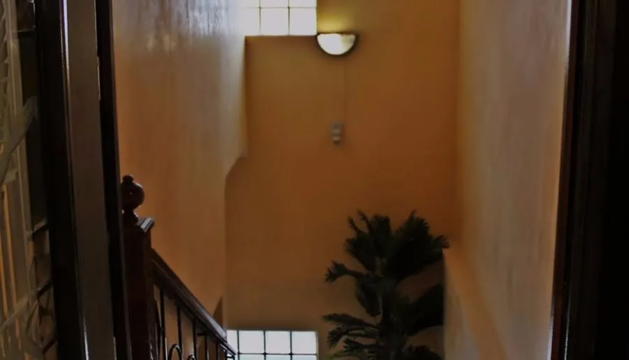 Temhouse — Photo 1