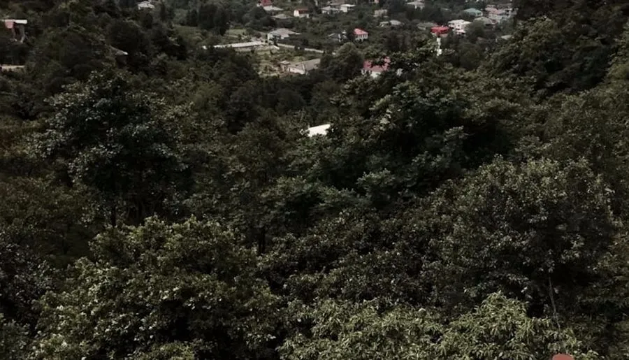 Guest House Gonio — Photo 6