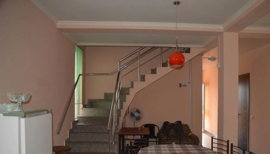 TINIKO — Photo 12
