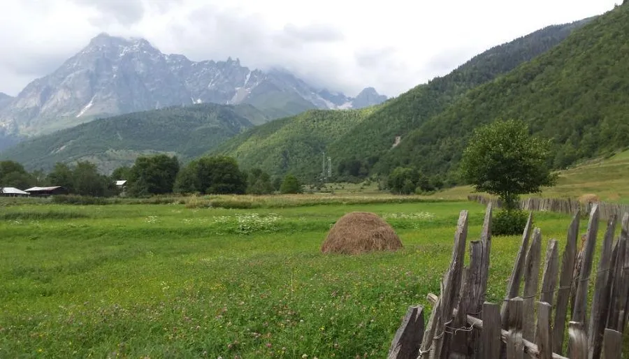 Guesthouse Mila — Photo 2