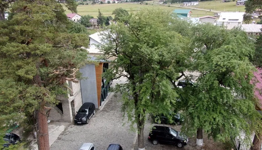 Hillside Bakuriani — Photo 12