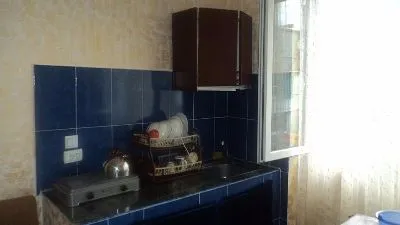 Apartment on Griboedov 2a