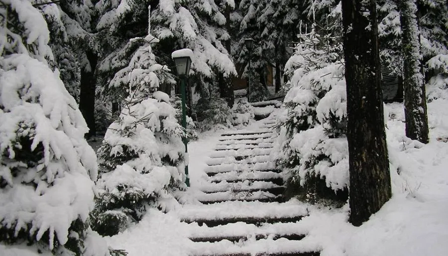 Samta Nunisi — Photo 2